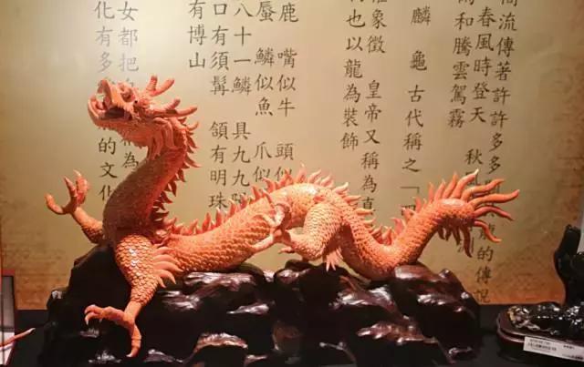 了解红珊瑚和朱砂有什么区别,台湾红珊瑚什么样的好