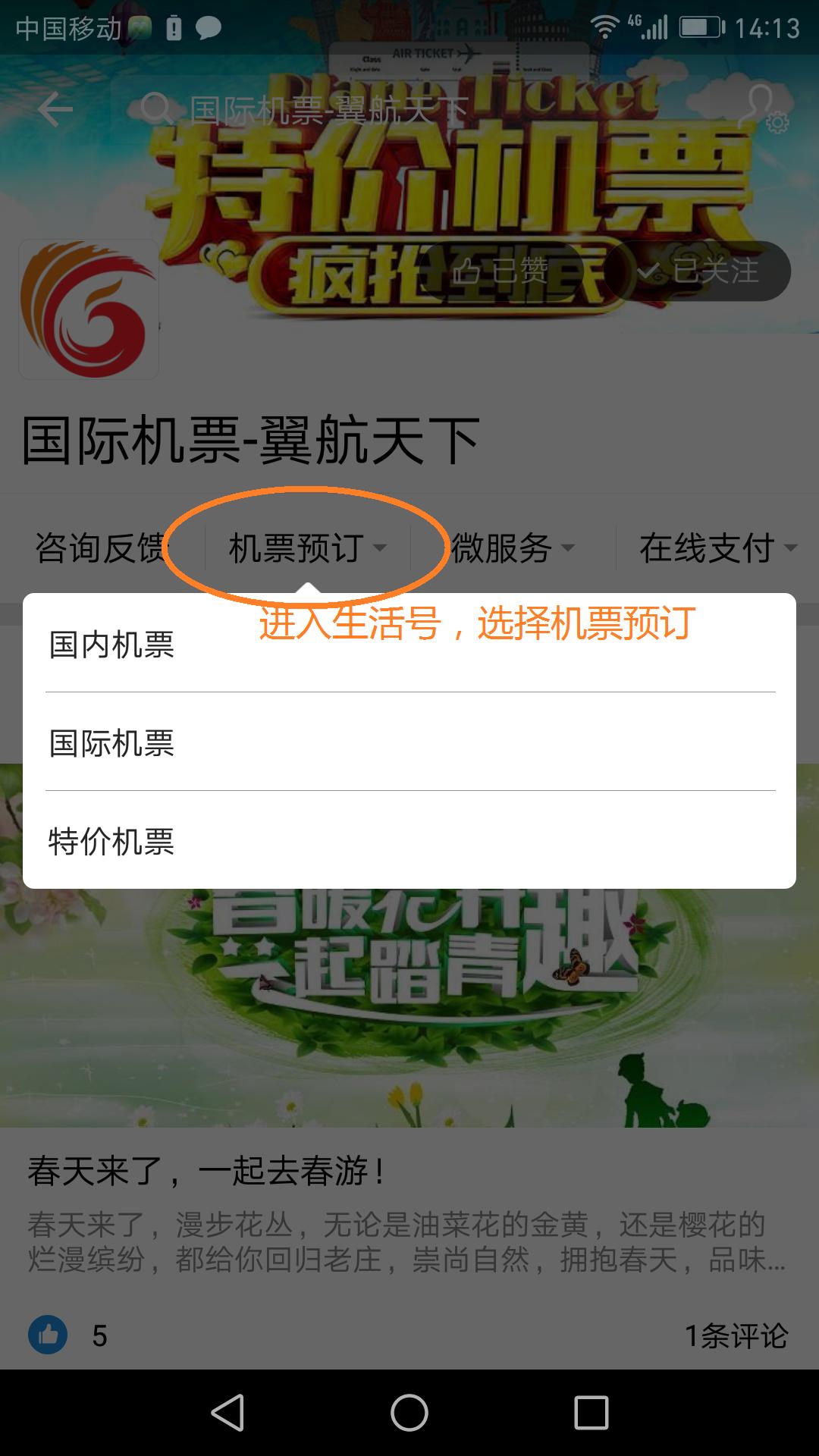 支付宝订机票能查看机票信息吗,支付宝订机票详细操作步骤
