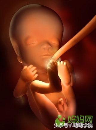 胎儿发育40周全过程b超影像,胎儿1-40周发育过程图高清