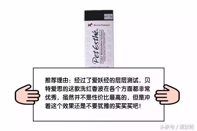 爱妖经｜“网红”还不够，更要实力派