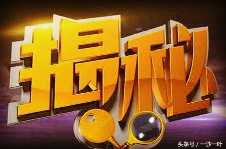 app运营费用明细表,手机报价单app哪个好