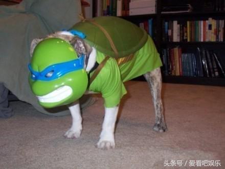 女生在理工大学就读是什么感受,女生读理工大学的感受