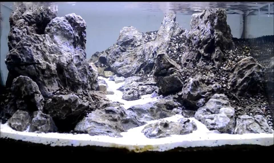 家居草缸｜都玩三湖缸看了这个开缸流程才知道石头景可以更美