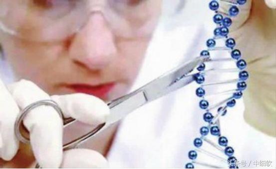 大唐好男儿第二部免费看,大唐好男儿第二部