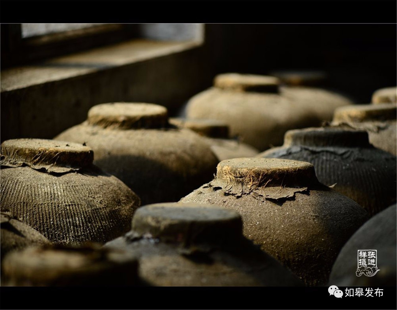 定了!从今天起,如皋白蒲古镇将列入每个人的旅行清单!
