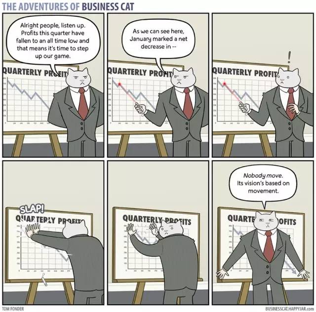 如果猫当老板会怎么样,假如老板是只猫该有多好