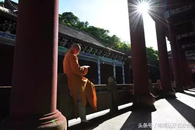 好看的美景推荐第一名,美丽的阳明山处处是美景