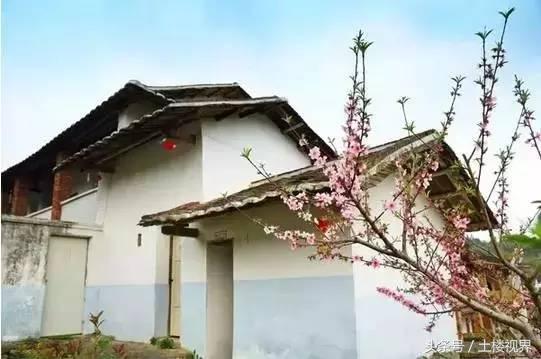 龙岩赏花景点,龙岩的花海