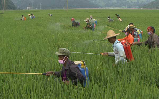 每天吃它可缓解脚气病、便秘···