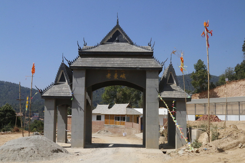 老茶章走进深山老寨—老曼娥