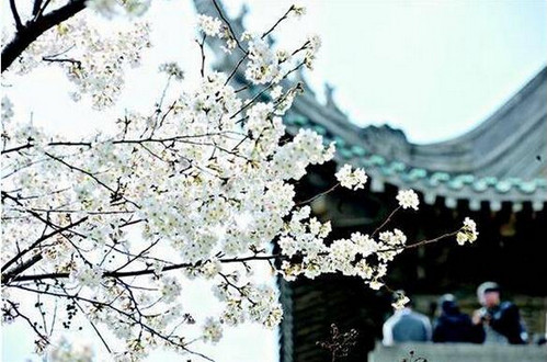 四川大学cp,四川大学官宣cp