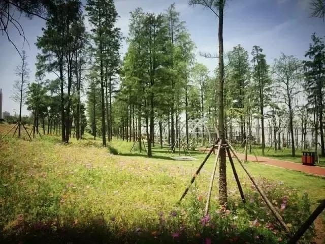 武昌江滩汉口江滩汉阳江滩,汉阳江滩汉口江滩武昌江滩