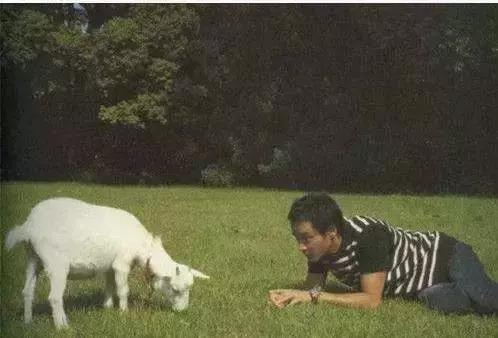 哥哥张国荣的传奇一生,张国荣老照片100张