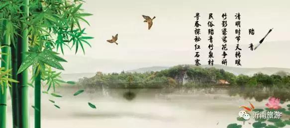 山东沂南秋日花海醉游人,沂南周边看梨花景点