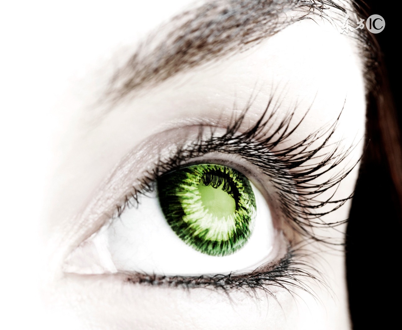 甲亢疑难病例讨论,浅谈甲亢的中医辨证论治