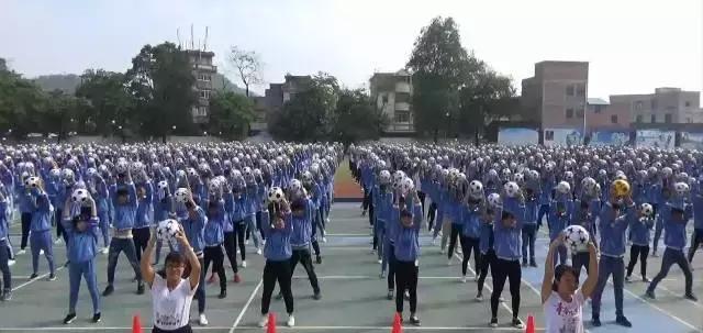 肇庆市足球特色学校有哪些,肇庆市有哪些体育学校