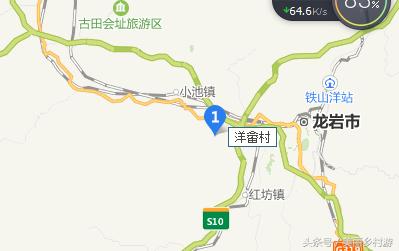 美丽乡村森林图片,洋畲村乡村旅游景点