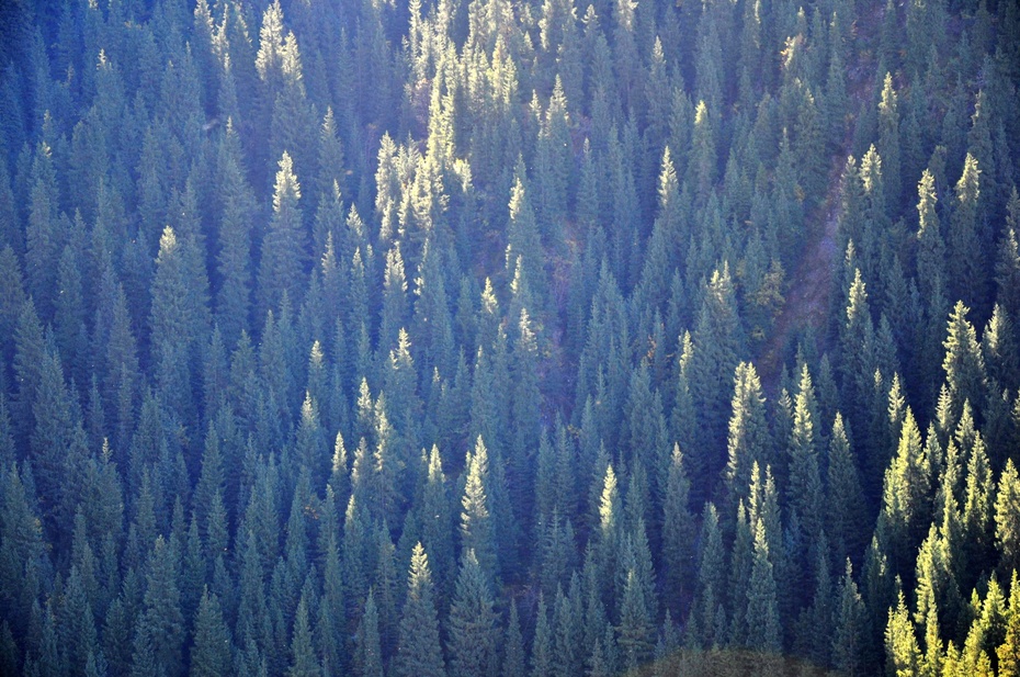 神秘又美丽的天山天池,天山天池是西王母沐浴之地吗
