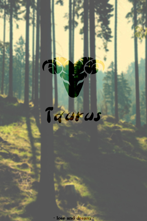 十二星座古风壁纸双鱼座最漂亮,哆啦a梦手机壁纸高清十二星座