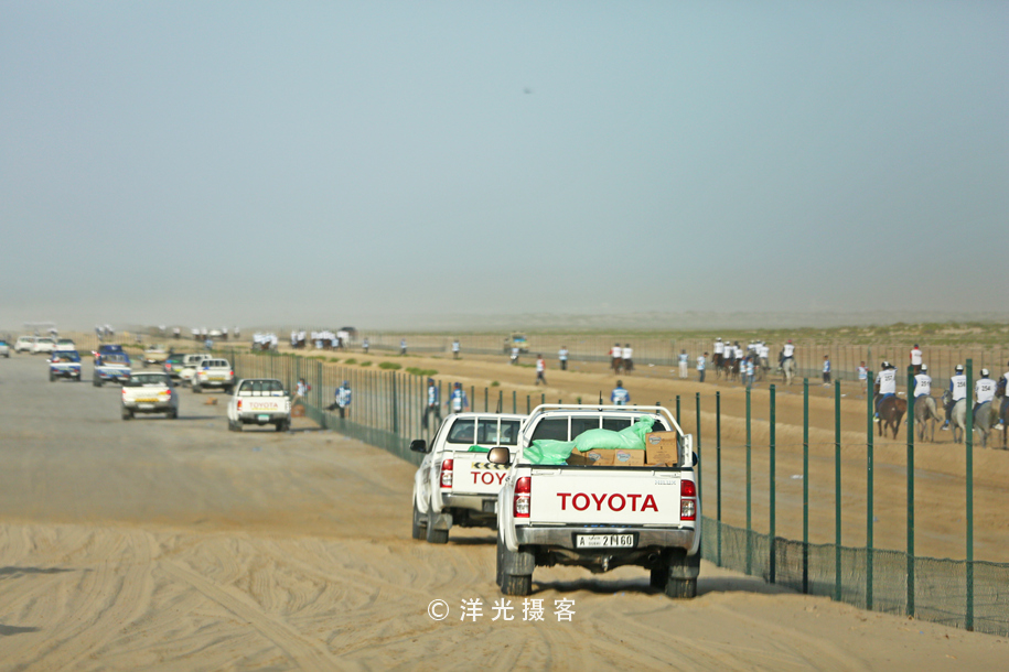 为什么迪拜土豪最有钱,真正的迪拜土豪