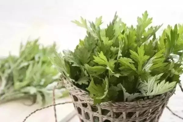 清明吃什么祛湿,清明节气滋补汤祛湿吗