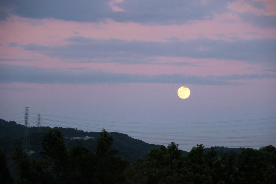 石岩湖四大公园,云游石岩湖