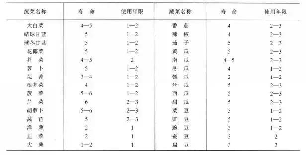 种子种菜阳台教程,阳台种菜种子做法视频教程