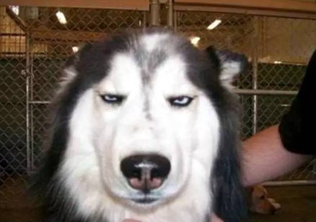 下雨天发个幽默朋友圈视频,下雨天发个幽默句子