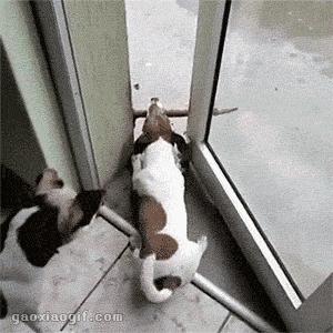 妹子说她没整容怎么解释,女性整容明星却说自己没整容