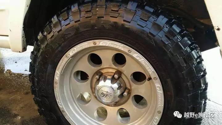 陪伴是最长情的告白——我和切诺基的故事