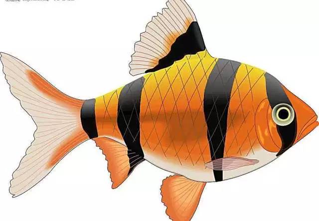 轻松塑肌减肥——只需在对的时间做对的事情