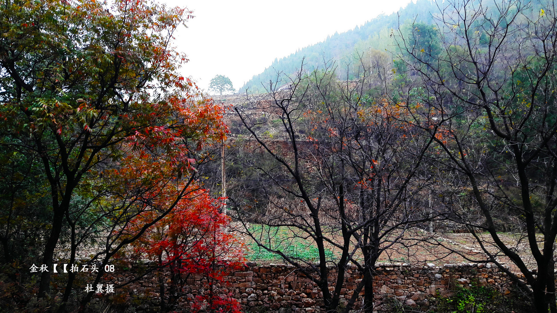 辉县四大景点,辉县四姑娘庙