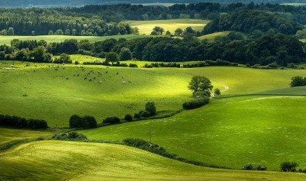 伤寒论中关于渴和小便数的条文,《伤寒论》理论的临床应用