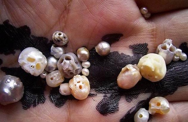 日本珍珠骷髅，将又是生又是死的饰品戴在身上，葬礼艺术作为灵感