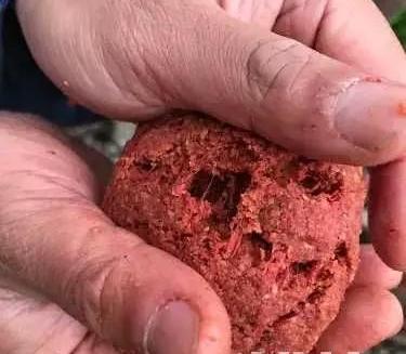 黑坑盛宴完整版,黑坑盛宴分解