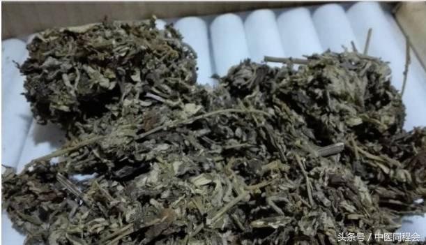 徐风瑞|从哲学本科到中医硕博连读