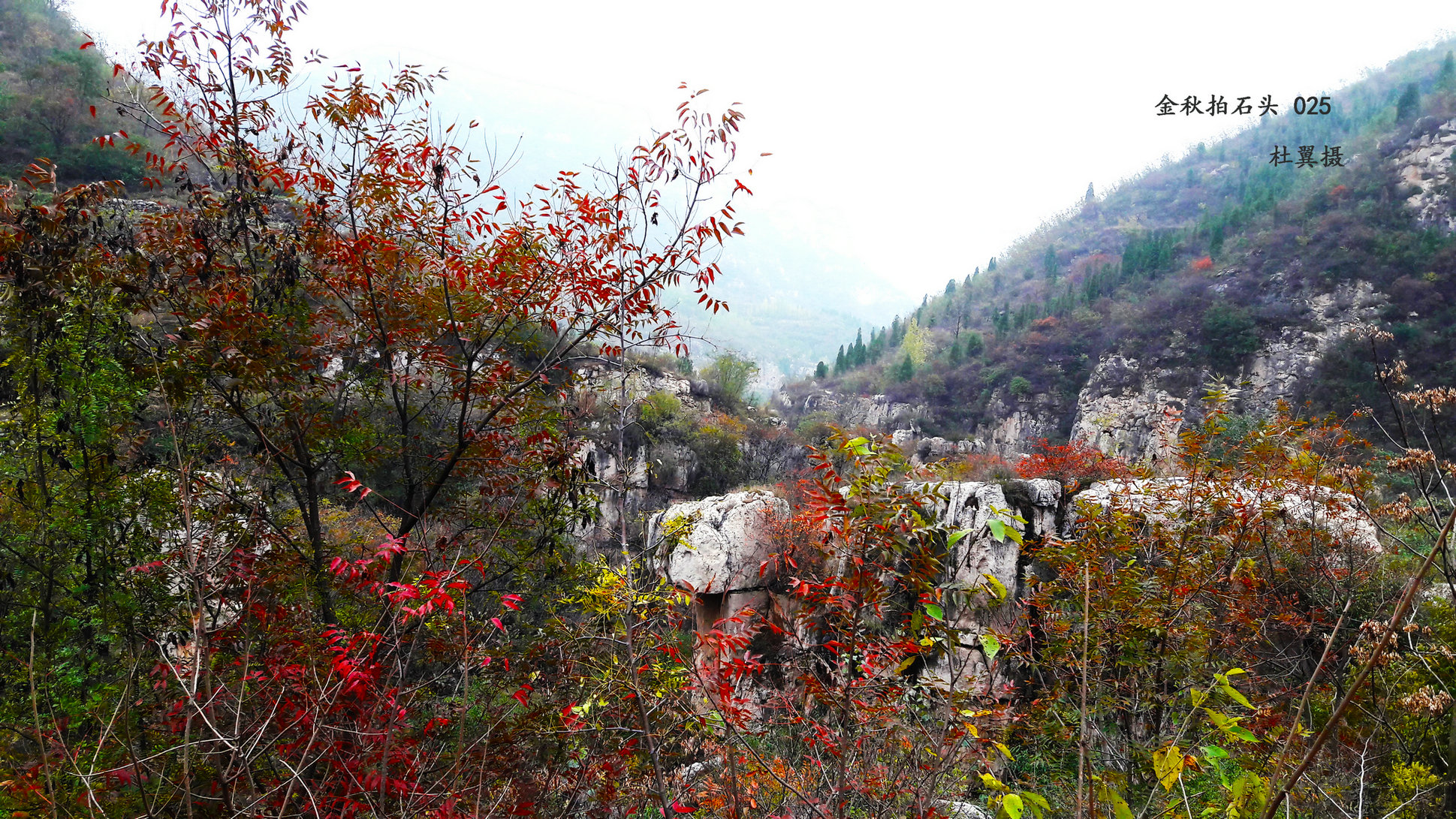 辉县四大景点,辉县四姑娘庙