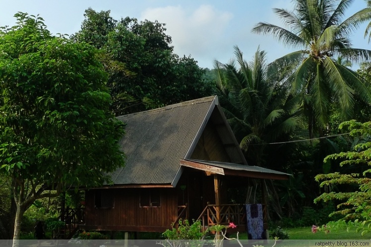 在孤独小岛上追蜥蜴、为岛民演奏音乐、玩浮潜、品冰咖啡，好享受