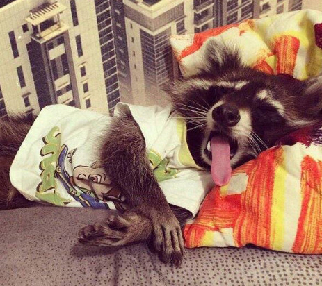 兄弟你穿衣服倒是长点心，这到底是几个意思