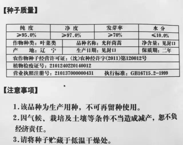 种子种菜阳台教程,阳台种菜种子做法视频教程