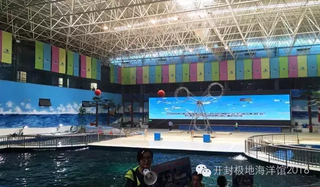 下雨适合去极地海洋世界玩吗,下雨天极地海洋世界