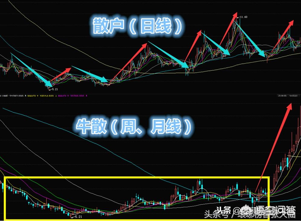 一年涨十倍的大牛股有哪些,抓住大牛市寻找十倍大牛股