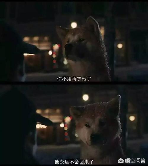 推荐一部你最喜欢的电影及理由,20年精选20部电影总有一部适合你