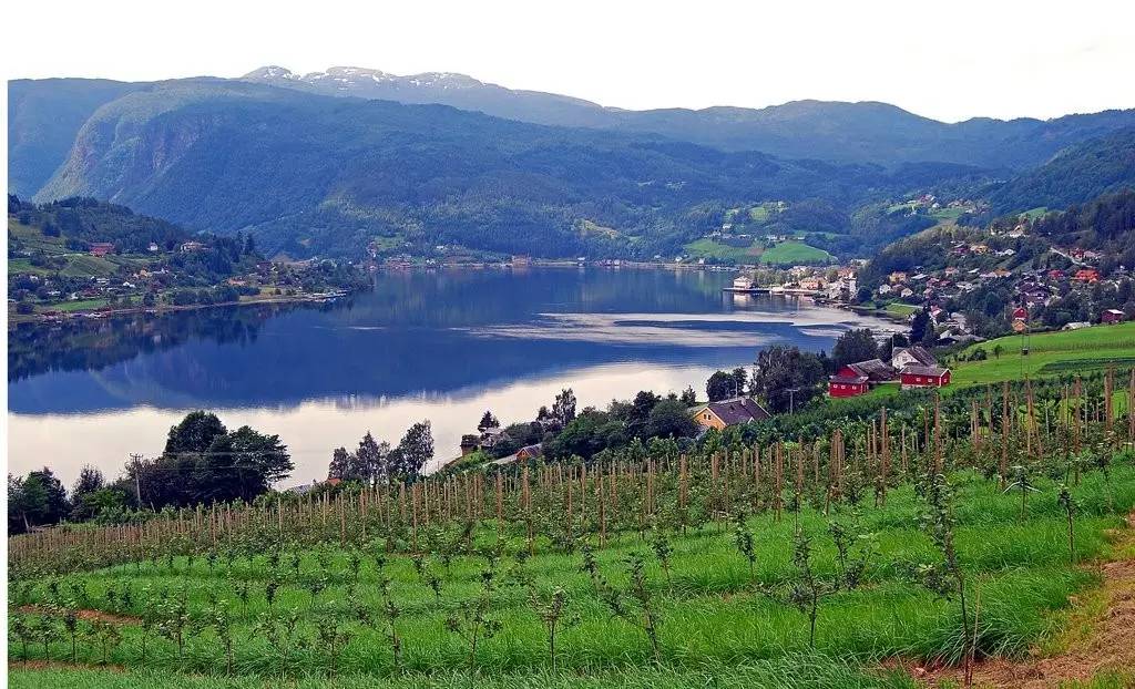 挪威夏日岛旅游攻略,挪威夏天攻略