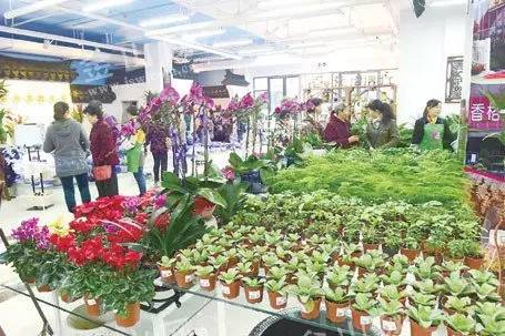 镇江的日常生活,镇江市农村生活