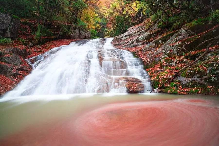 2022年四川100强医院排名,成都百强医院排名榜