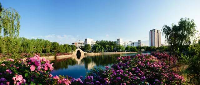 青岛农大现在情况,青岛农大放开了吗