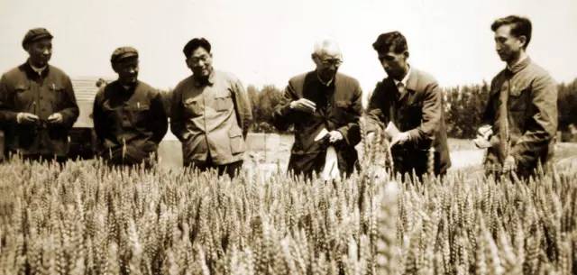 青岛农大现在情况,青岛农大放开了吗