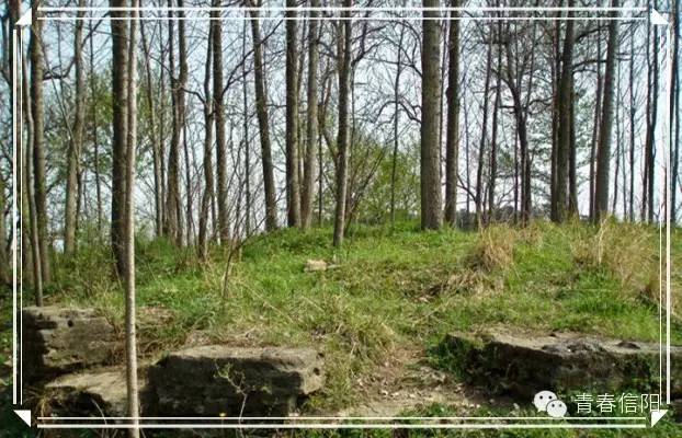 信阳周边两天一夜旅游推荐,五一信阳周边游玩攻略两天一晚