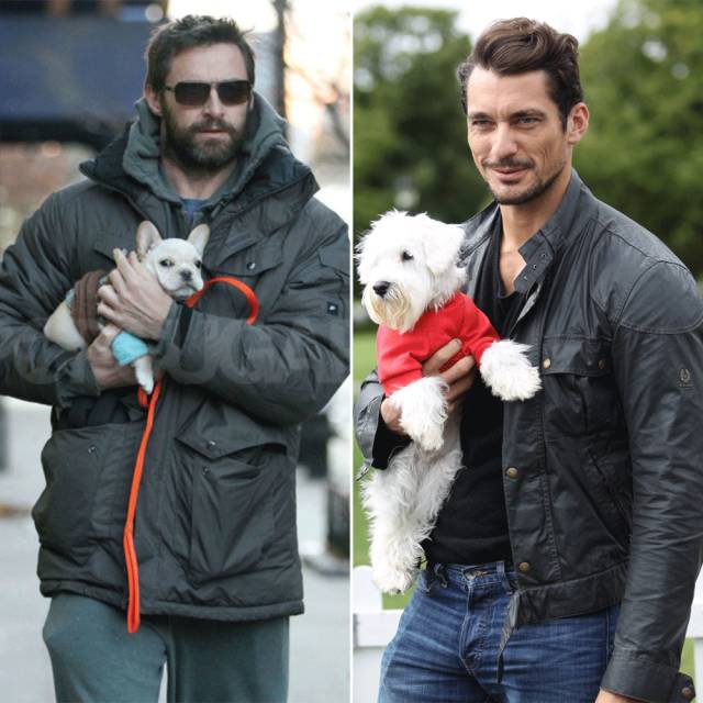 男明星们的荷尔蒙,荷尔蒙爆棚男人的穿搭